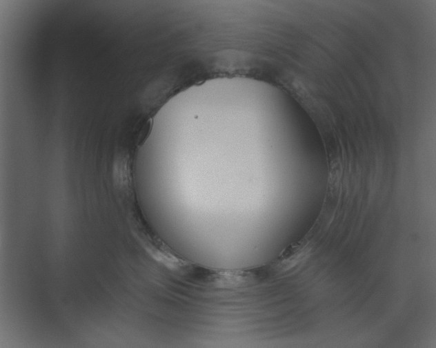 X0000073460623200608181307