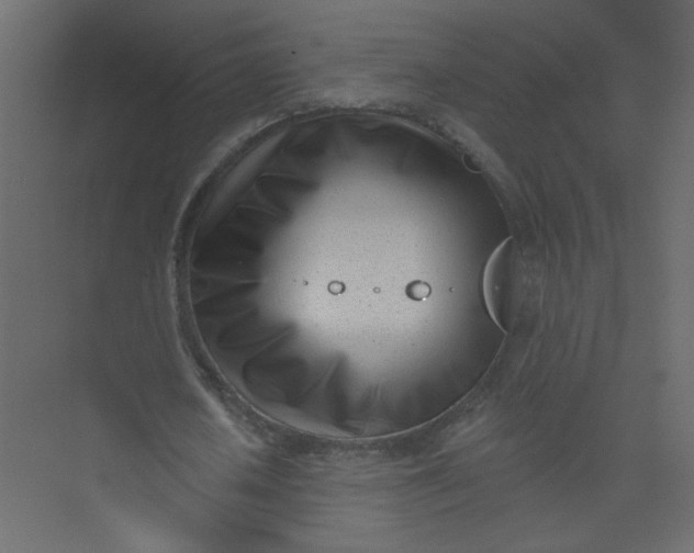 X0000073460626200608181306