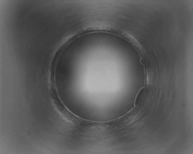 X0000073460627200608181306