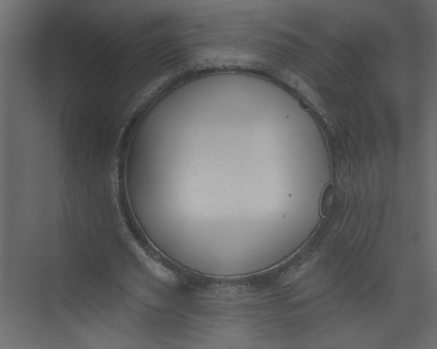 X0000073460629200608181306