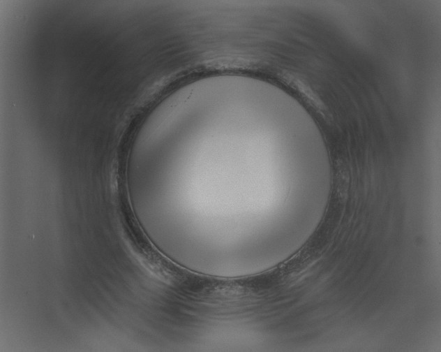 X0000073460631200608181306