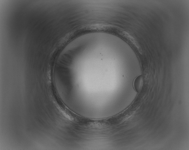 X0000073460633200608181306