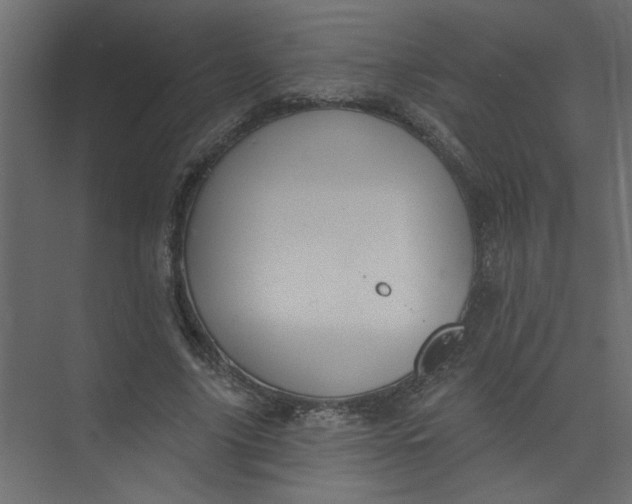 X0000073460635200608181306