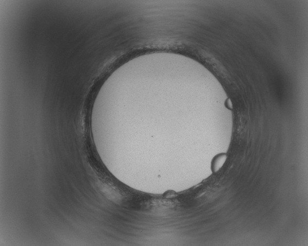 X0000073460636200608181306