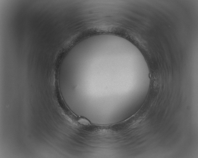 X0000073460637200608181306