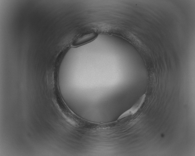 X0000073460638200608181306