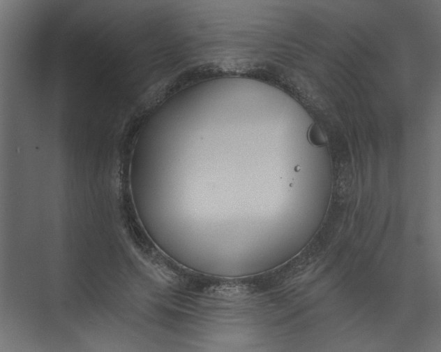 X0000073460639200608181306