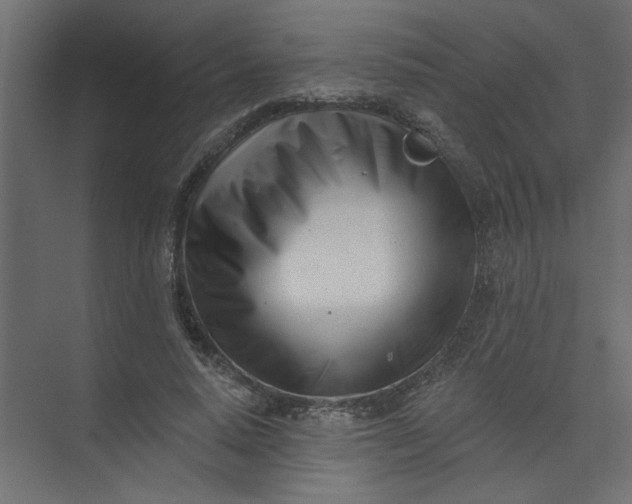 X0000073460640200608181306