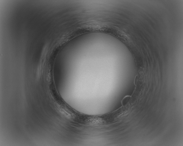 X0000073460642200608181306