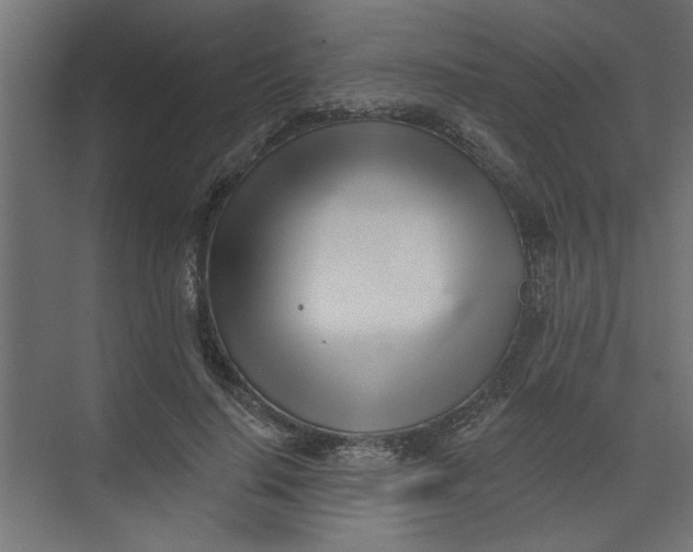 X0000073460644200608181306