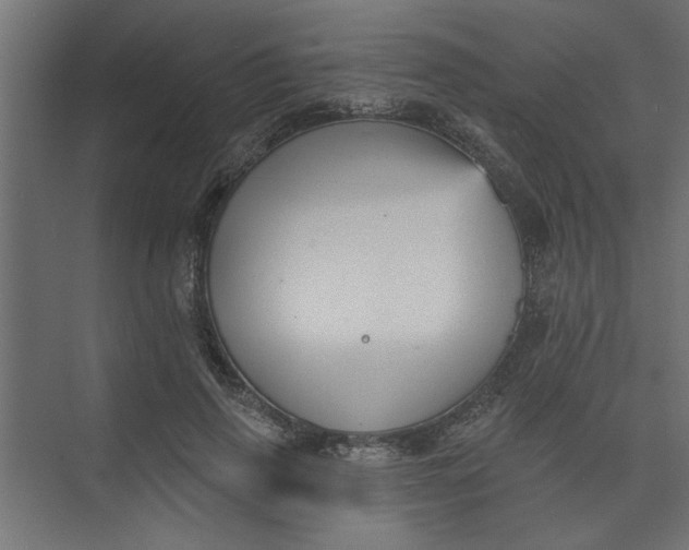 X0000073460645200608181306