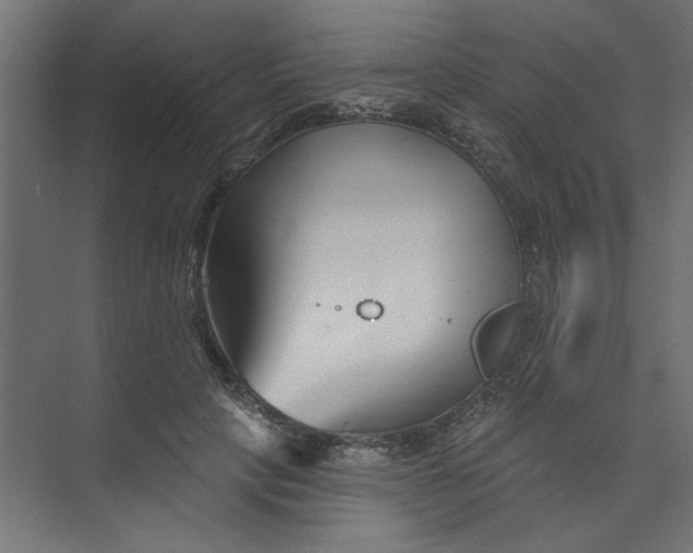 X0000073460649200608181306