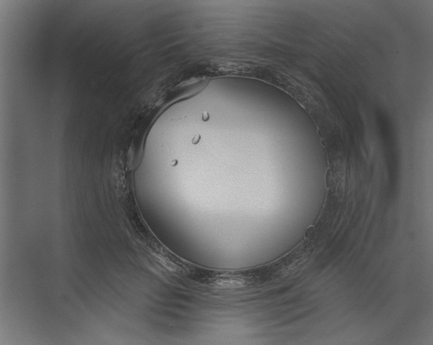 X0000073460653200608181306