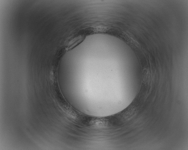 X0000073460655200608181306