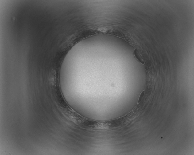 X0000073460656200608181306