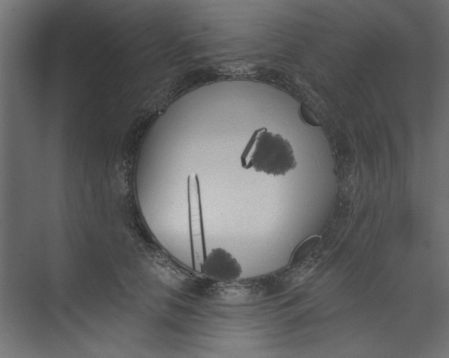 X0000073460658200608181306