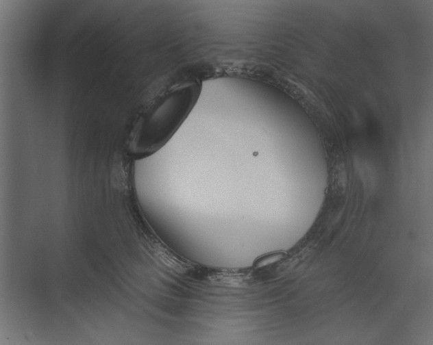 X0000073460661200608181306