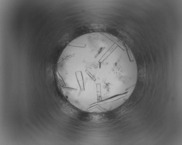 X0000073460662200608181306