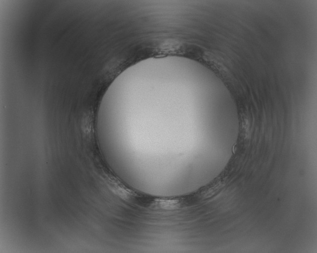 X0000073460665200608181306