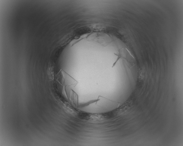 X0000073460666200608181306