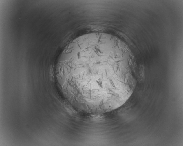 X0000073460667200608181306