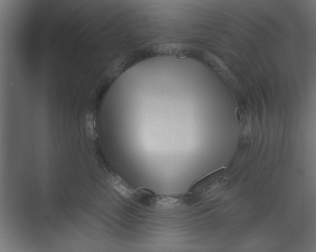 X0000073460669200608181307