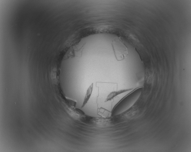 X0000073460670200608181307