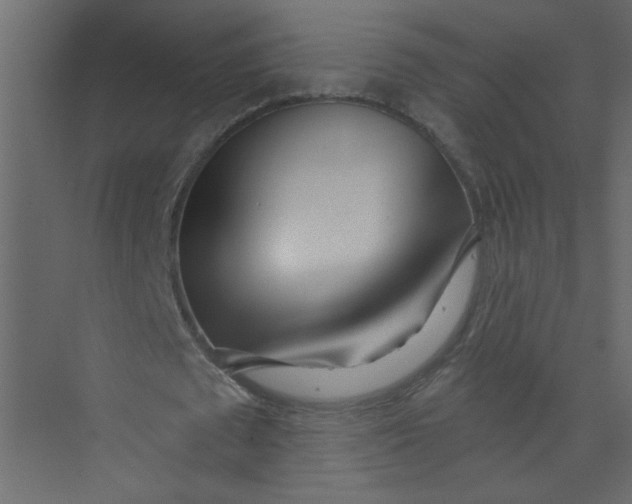 X0000073460673200608181306