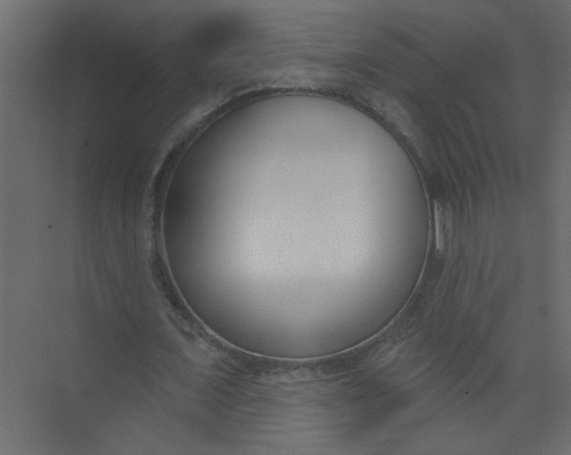 X0000073460675200608181306