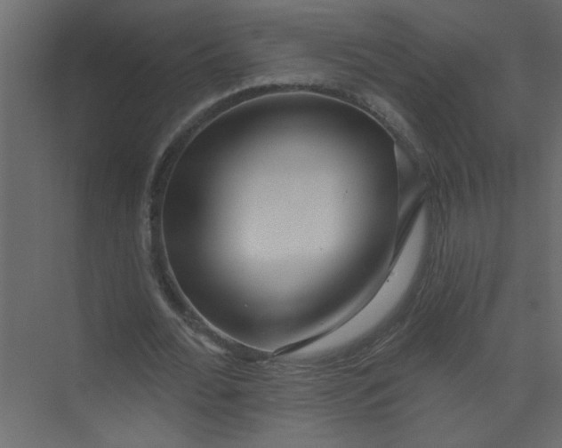 X0000073460676200608181306