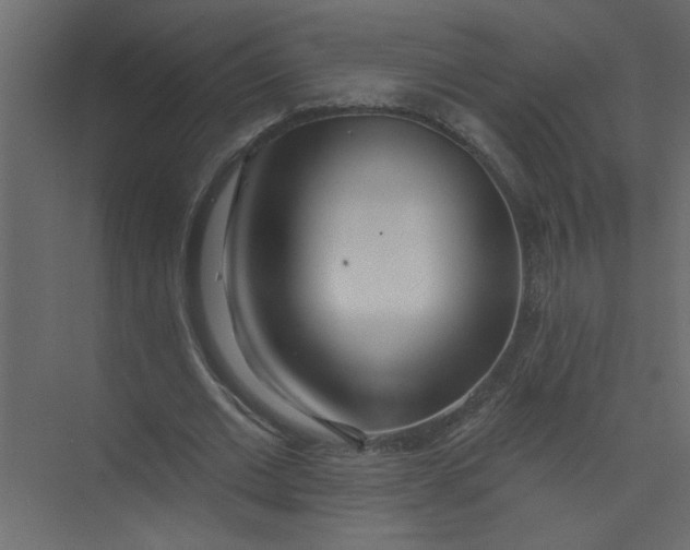 X0000073460677200608181306