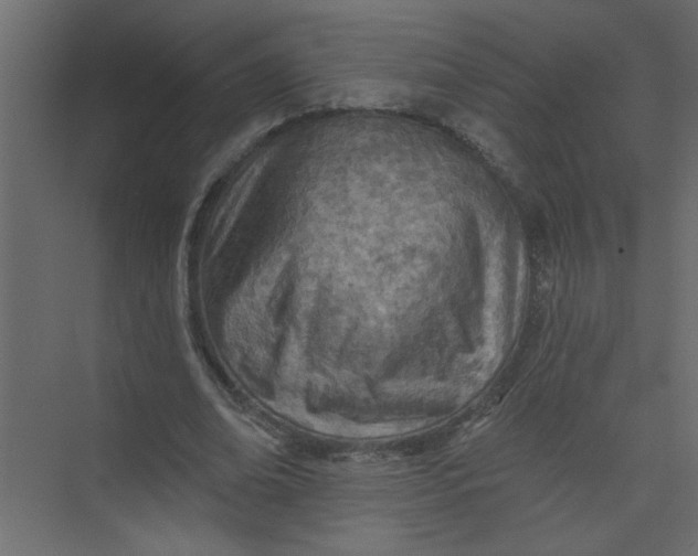 X0000073460678200608181306