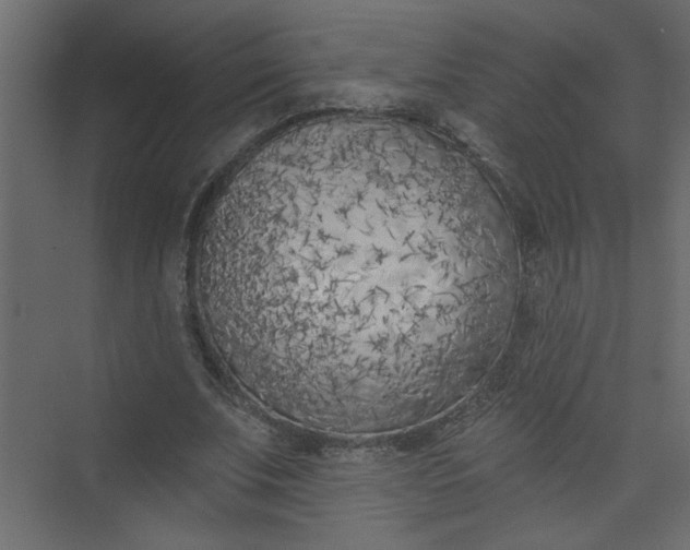 X0000073460679200608181306