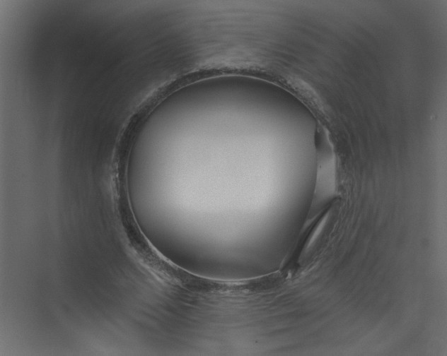 X0000073460680200608181306