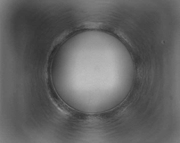 X0000073460682200608181306