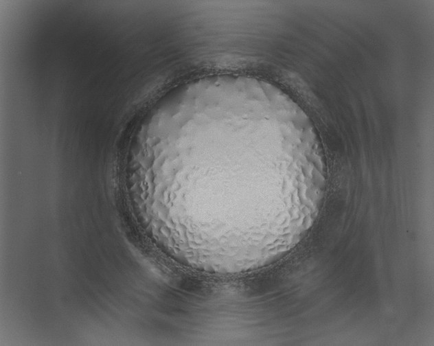 X0000073460683200608181306