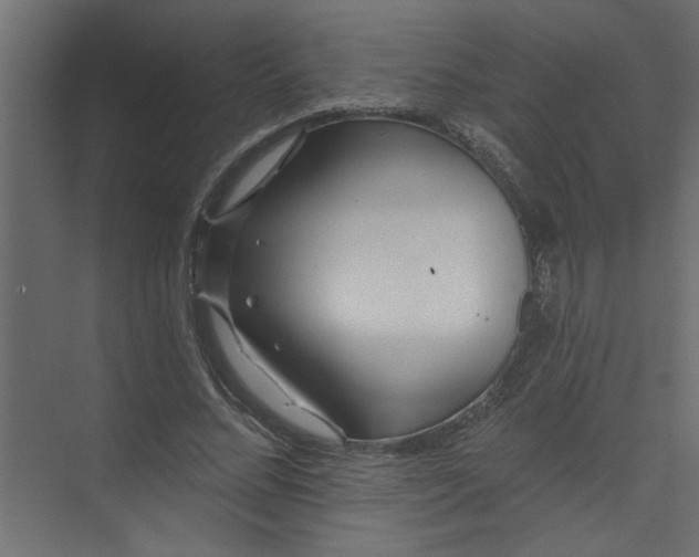 X0000073460684200608181306