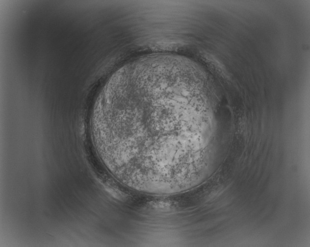 X0000073460687200608181306