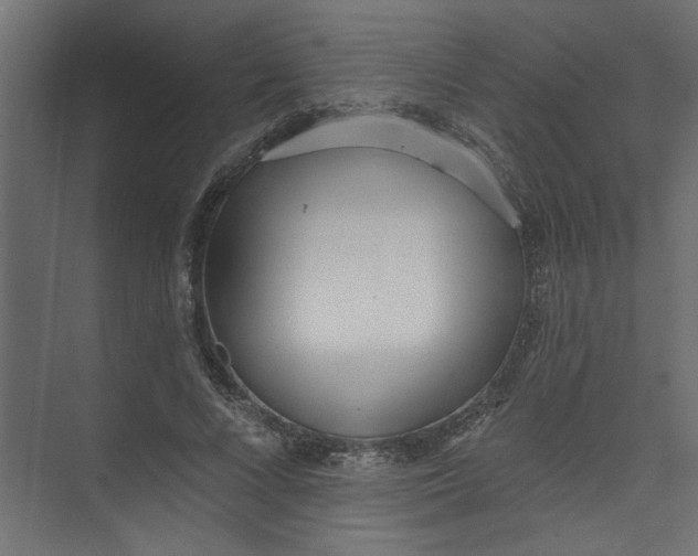 X0000073460688200608181306