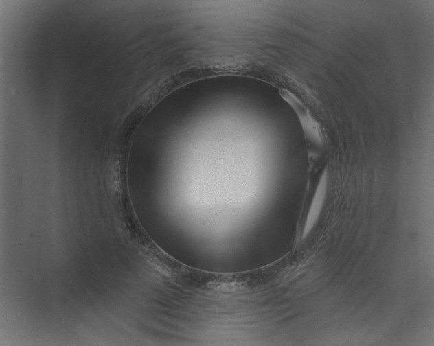 X0000073460689200608181305