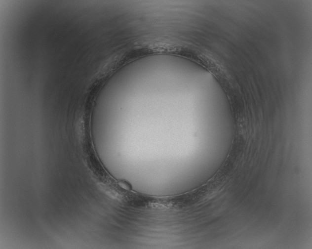 X0000073460690200608181305