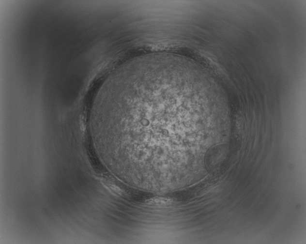 X0000073460691200608181305