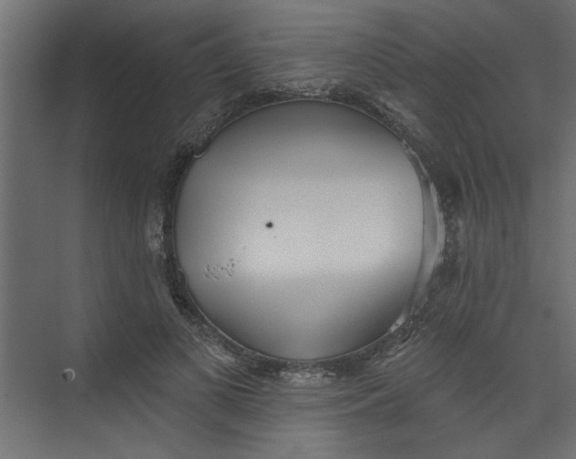 X0000073460693200608181305