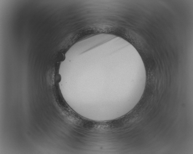 X0000073460694200608181305