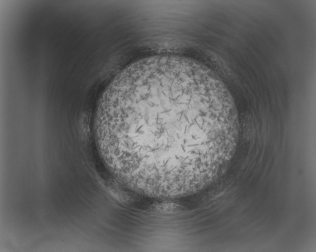 X0000073460695200608181305