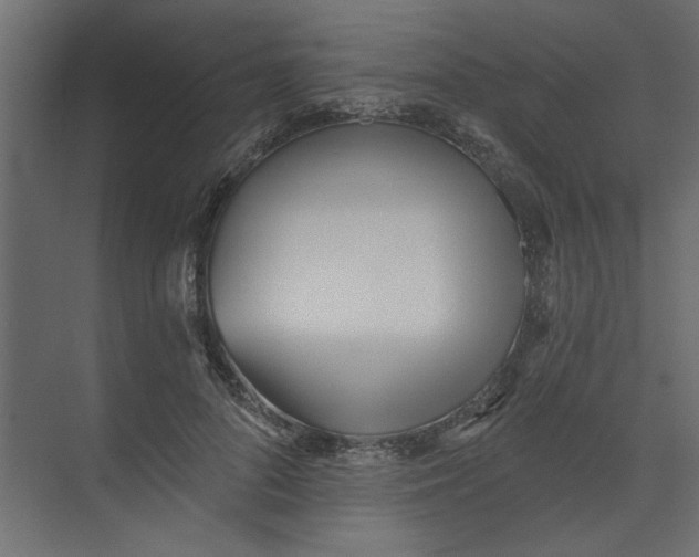 X0000073460696200608181305