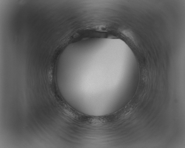 X0000073460697200608181305