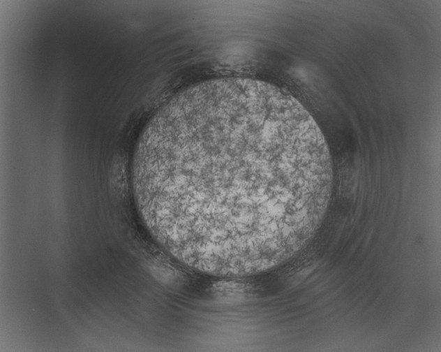 X0000073460699200608181305