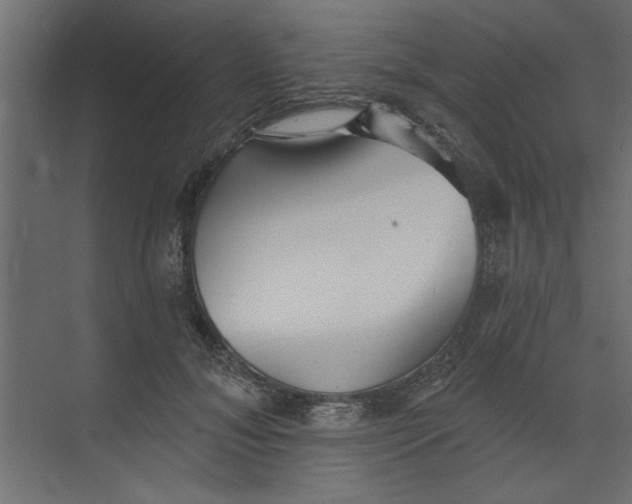 X0000073460700200608181305