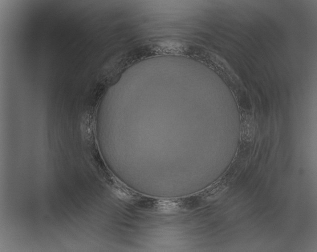 X0000073460701200608181305